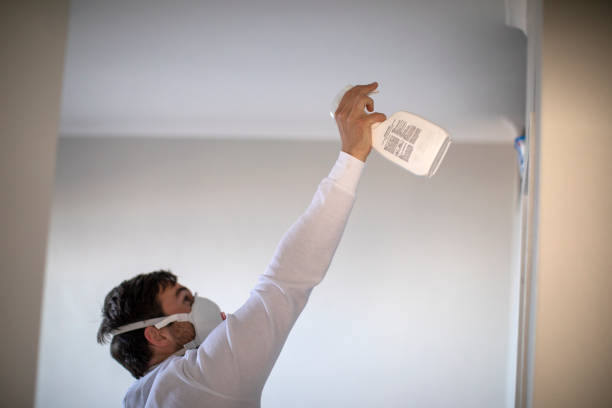 Sanibel, FL Mold Removal Company