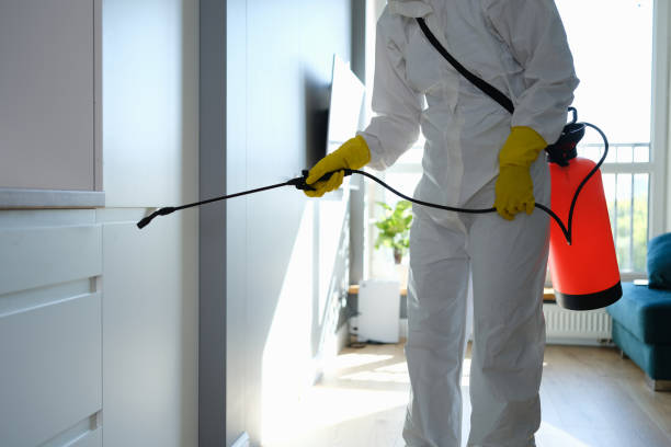 Best Mold Removal Specialists  in Sanibel, FL